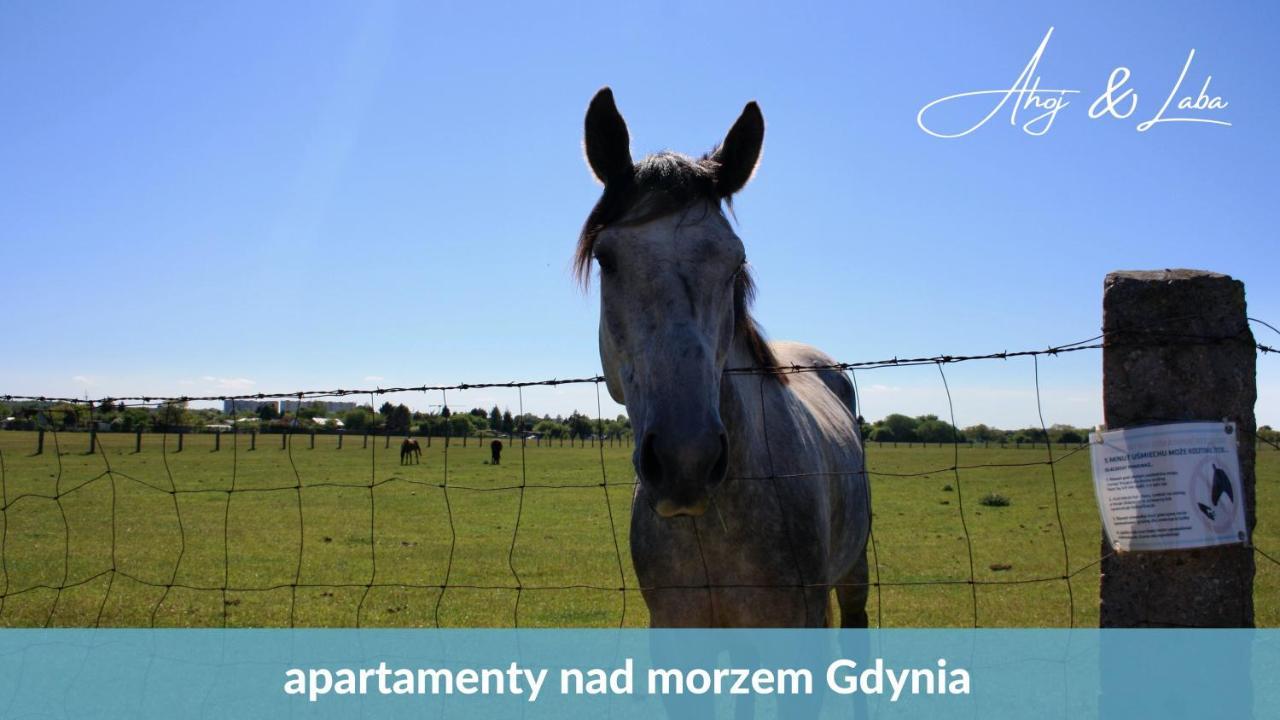 Апартаменты Laba - Basen, Blisko Plazy, Cisza, Taras, Parking, Bezplatne Wifi, Wyjatkowy! Гдыня Экстерьер фото